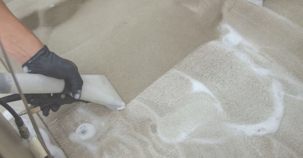 Steam Cleaning Carpets vs. Shampooing