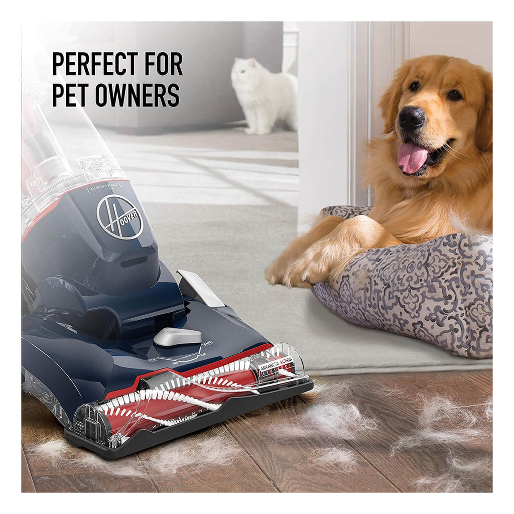 Our Guide to The Wide World of Pet-Friendly Vacuums