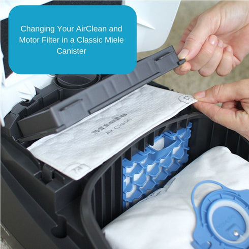 Miele C1 Classic Turbo Team Canister Vacuum Cleaner