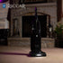 Riccar Deluxe Clean Air Upright Vacuum (R25D)