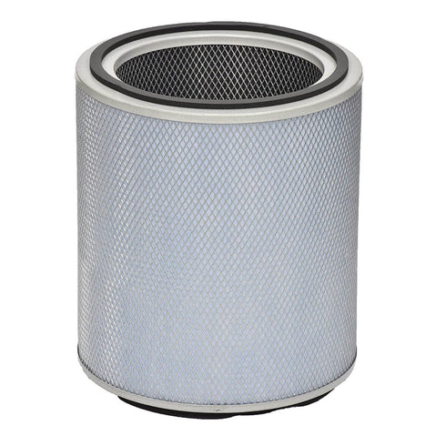 Austin Air Standard Healthmate FR400B Replacement Filter (White)