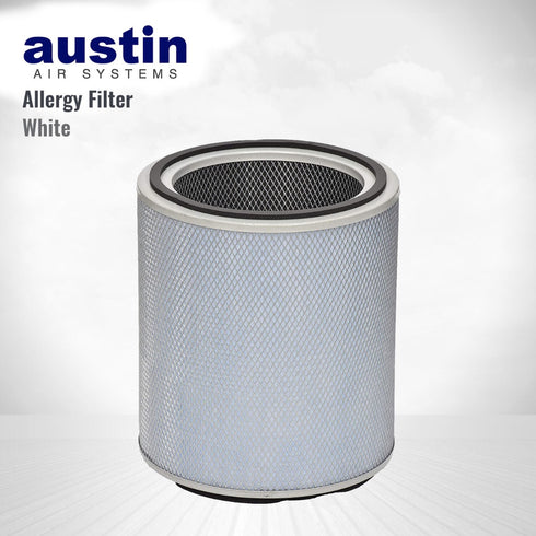 Austin Air Standard Healthmate FR400B Replacement Filter (White)