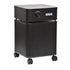 Austin Air B405B1 Allergy HEGA Unit Air Purifier Allergy Machine (Black)