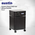 Austin Air B405B1 Allergy HEGA Unit Air Purifier Allergy Machine (Black)