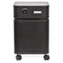 Austin Air Standard B402B1 Bedroom Air Purifier (Black)