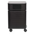 Austin Air B405B1 Allergy HEGA Unit Air Purifier Allergy Machine (Black)