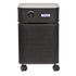 Austin Air B405B1 Allergy HEGA Unit Air Purifier Allergy Machine (Black)