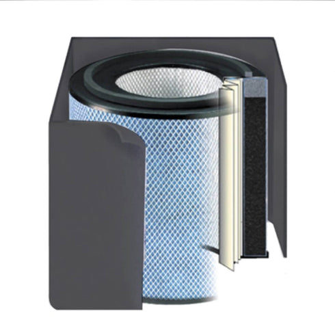 Austin Air Standard Healthmate FR400A Replacement Filter (Black)