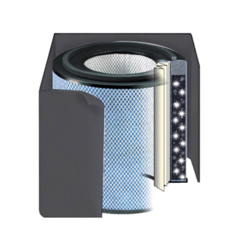 Austin Air Standard FR450A Healthmate Plus Replacement Air Purifier Filter (Black)