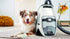 Miele Blizzard CX1 Cat & Dog Bagless Canister Vacuum Cleaner