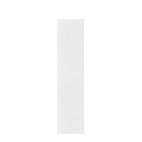 Riccar R25 Standard Electrostatic Secondary Filter (R25S)
