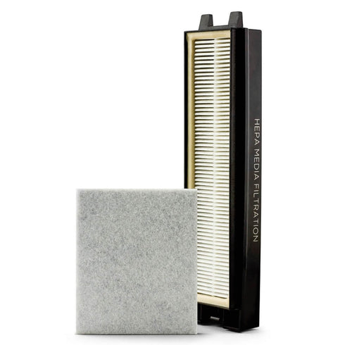 Riccar Clean Air Upright Deluxe HEPA and Electrostatic Charcoal Filter Set (R25D)