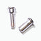 Sanitaire Handle Bolt and Screw
