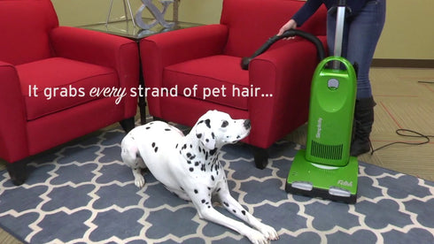 Simplicity Pet Hair Beware! Fur Remover