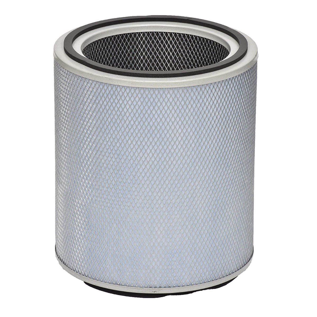 Austin Air Standard Healthmate FR400B Replacement Filter White